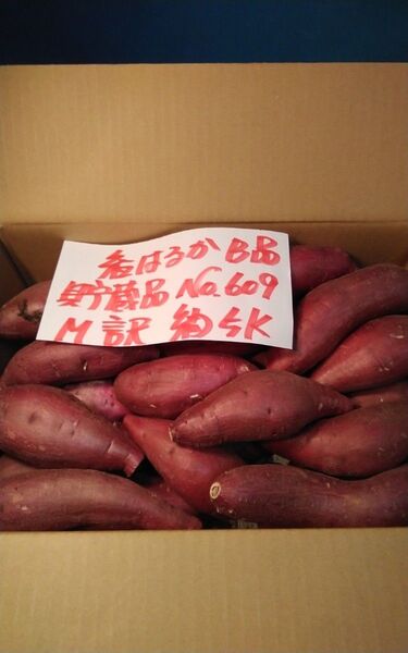 超お得!! 訳あり☆限定品☆ねっとり甘い貯蔵品紅はるかB品約5Kgです。 ねっとり上品な甘さ千葉県産 べにはるか
