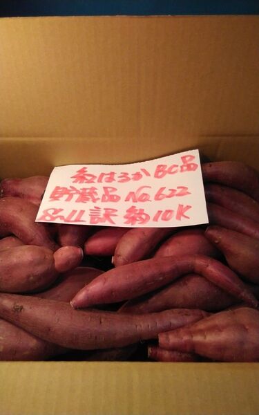 超お得!! 訳あり☆限定品☆ねっとり甘い貯蔵品紅はるかBC品約10Kgです。 千葉県産 べにはるか サツマイモ