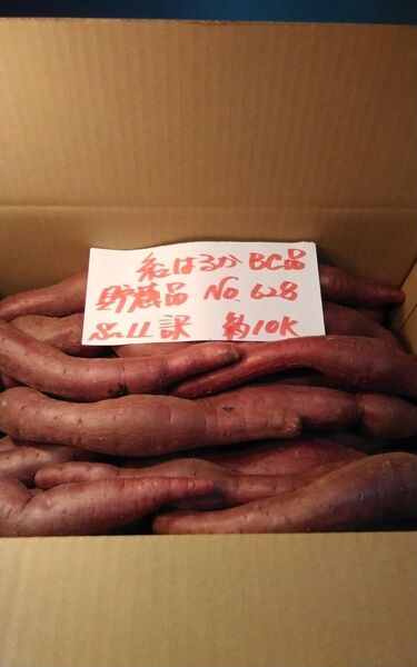 超お得!! 訳あり☆限定品☆ねっとり甘い貯蔵品紅はるかBC品約10Kg です。