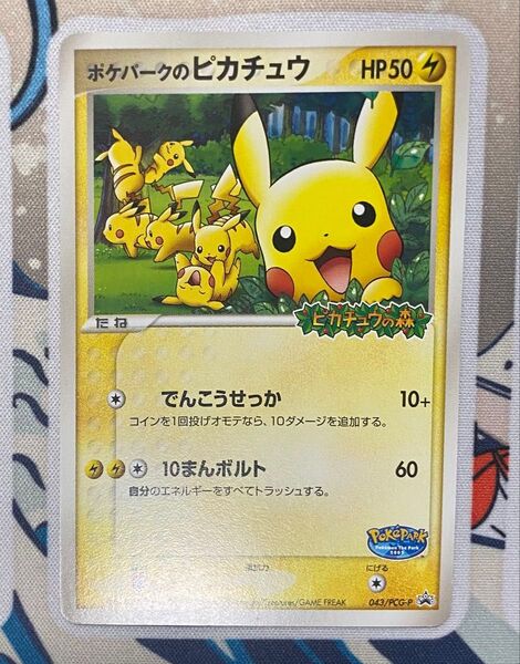 ポケパークのピカチュウ043.PCG.P