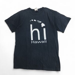 00s 00年代 FRUIT OF THE LOOM フルーツオブザルーム USA製生地 ハワイ スーベニア Tシャツ 黒 M