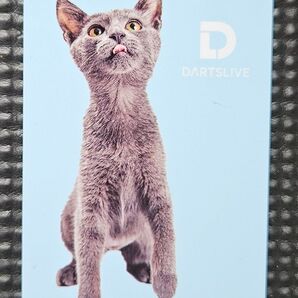 猫 水色 ダーツライブカード