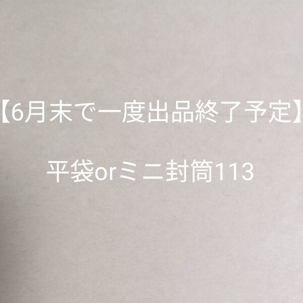 【6月末で一度出品終了予定】平袋orミニ封筒113(専用)