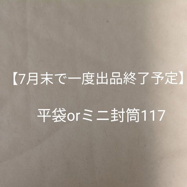 【7月末で一度出品終了予定】平袋orミニ封筒117