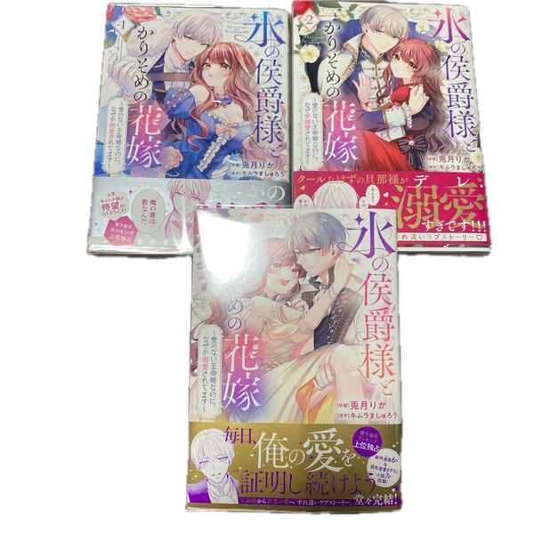 氷の侯爵様とかりそめの花嫁 愛のない王命婚なのに、なぜか溺愛されてます 1巻から3 (FCエトワール) 兎月りか/作画