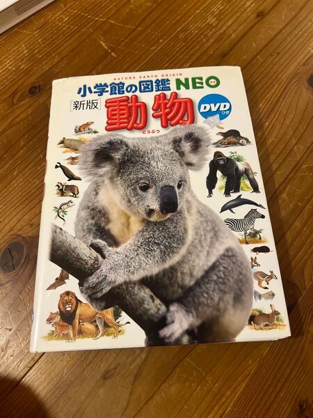 動物 (小学館の図鑑NEO 1) (新版) 三浦慎悟/〔ほか〕監修・指導 田中豊美/ほか画