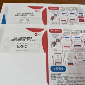 大阪・関西万博 通期パス割引コード(大人) 2枚