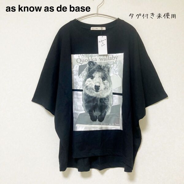 アズノゥアズドゥバズ as know as de base★クオッカ プリント Tシャツ ドルマン袖 タグ付き未使用