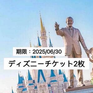 【12hr以内発送】ディズニーチケット 1日パスポート 未使用 2枚