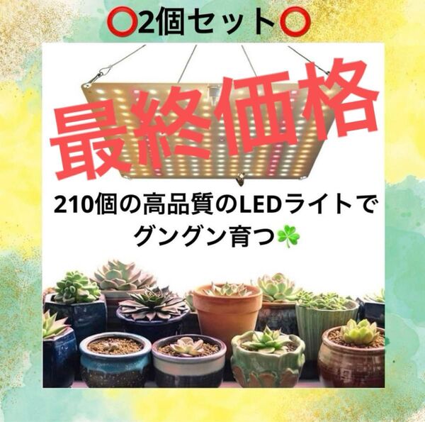 最終価格【2個セット】植物育成ライト LEDライト 観葉植物フルスペクトル 多肉植物 水耕栽培
