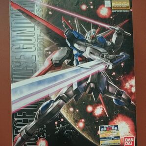 フォースインパルスガンダム MG
