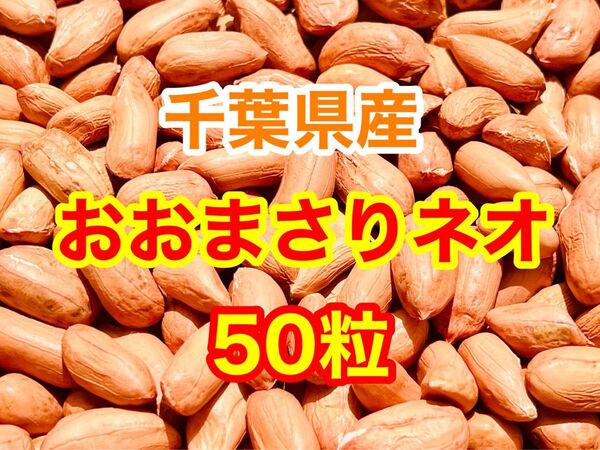 千葉県産 落花生 おおまさりネオ種50粒