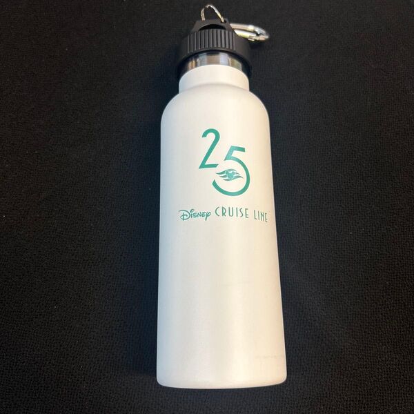 ディズニークルーズ 25周年 ステンレス 水筒 ボトル 白 ホワイト 500ml