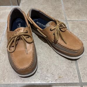 SPERRY デッキシューズ 7 1/2 ブラウン