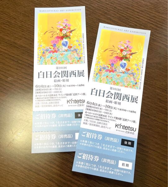 第101回 白日会関西展 絵画 彫刻 招待券 ペアチケット