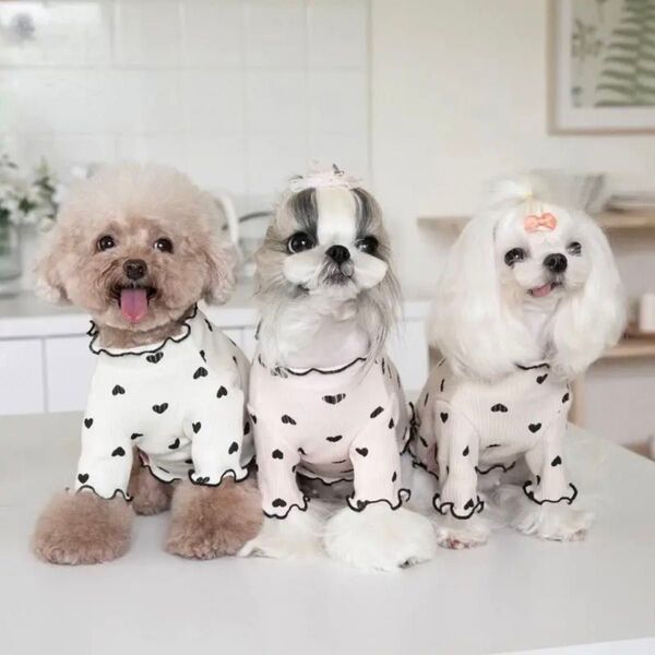 新品/可愛い/ハートフリルトップス 犬 服 ドッグウェア Sサイズ Mサイズ Lサイズ ホワイトベージュ ピンク ペット服 小型犬