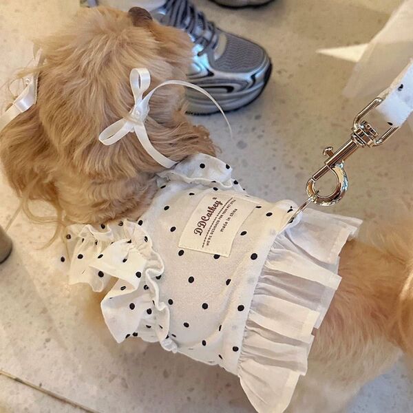 新品/ドット柄フリルハーネス&リードセット 犬 服 ドッグウェア S M L