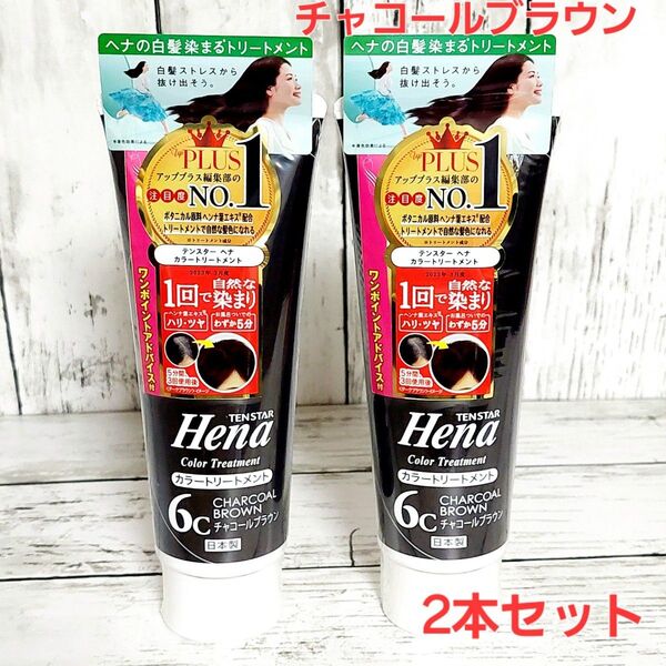テンスター カラートリートメント チャコールブラウン 250g