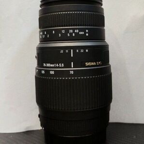 SIGMA 70-300mm F4-5.6 DG MACRO Canon用