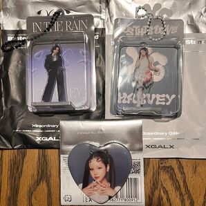 XG ブリスターチャーム アクリルチャーム 缶バッジ ティンバッジ IN THE RAIN ISTHIS LOVE ハーヴィー