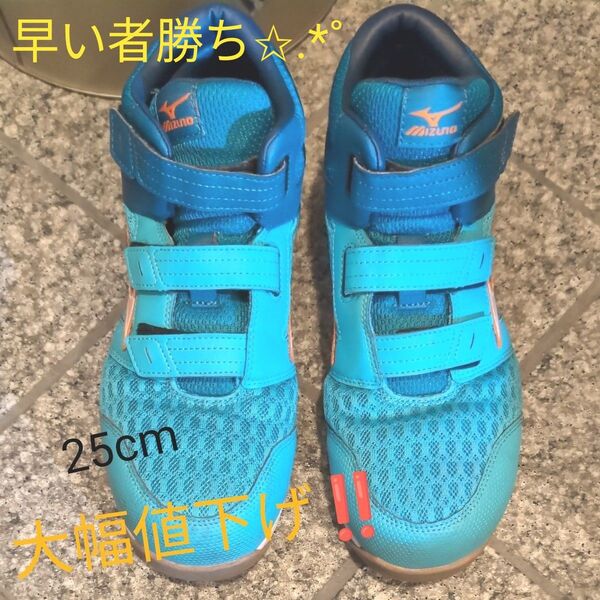 ミズノ安全靴25cm