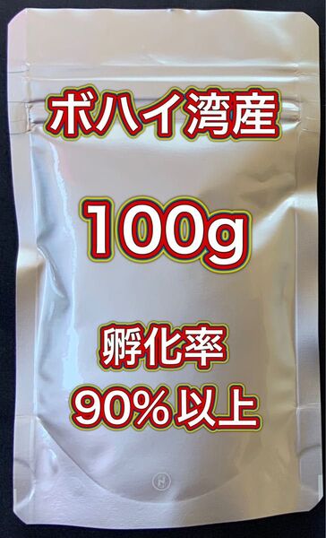 【ボハイ湾産 高品質 ブラインシュリンプエッグ】孵化率90%以上 100g