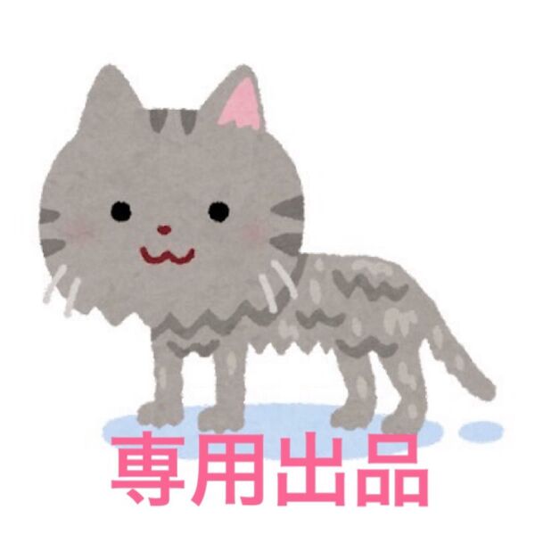 【27日まで専用】新品未使用 ホワイトニング歯磨き粉 薬用 口臭ケア 2個セット