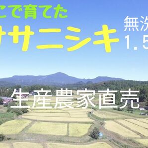 生産農家直売・低温保管・直前精米・R6年産 みやぎのササニシキ 1.5kg(10合)無洗米