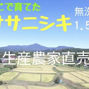 生産農家直売・低温保管・直前精米・R6年産 みやぎのササニシキ 1.5kg(10合)無洗米