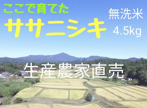 生産農家直売・低温保管・直前精米・R6年産 みやぎのササニシキ4.5kg(30合)無洗米