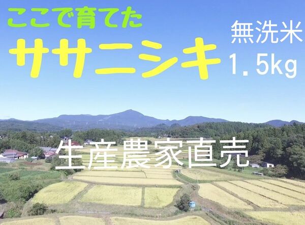 生産農家直売・低温保管・直前精米・R6年産 みやぎのササニシキ 1.5kg(10合)無洗米
