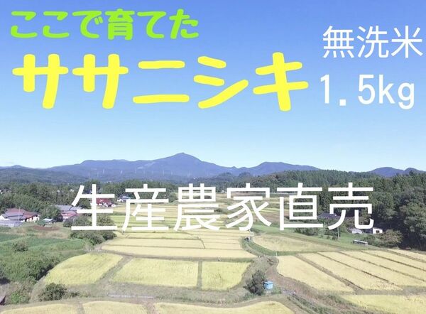 生産農家直売・低温保管・直前精米・R6年産 みやぎのササニシキ 1.5kg(10合)無洗米
