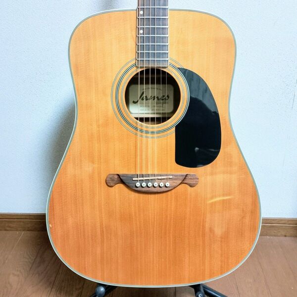 James JD350 NA トップ単板仕様 アコースティックギター 弦は新品!