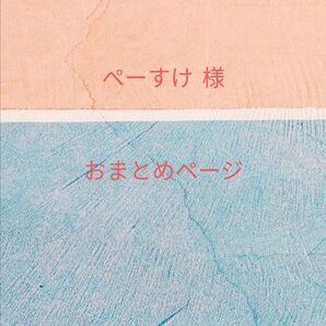 ぺーすけ様 おまとめページ
