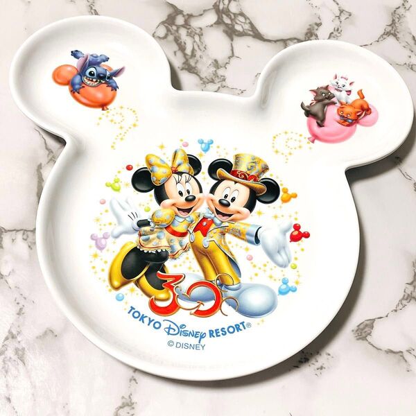レア 東京ディズニーリゾート限定 スーベニアプレート ランチプレート 30周年 プレート ミッキー ミニー ペア グッズ