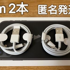 iPhone★充電器★ライトニングケーブル1m純正工場取寄品2本