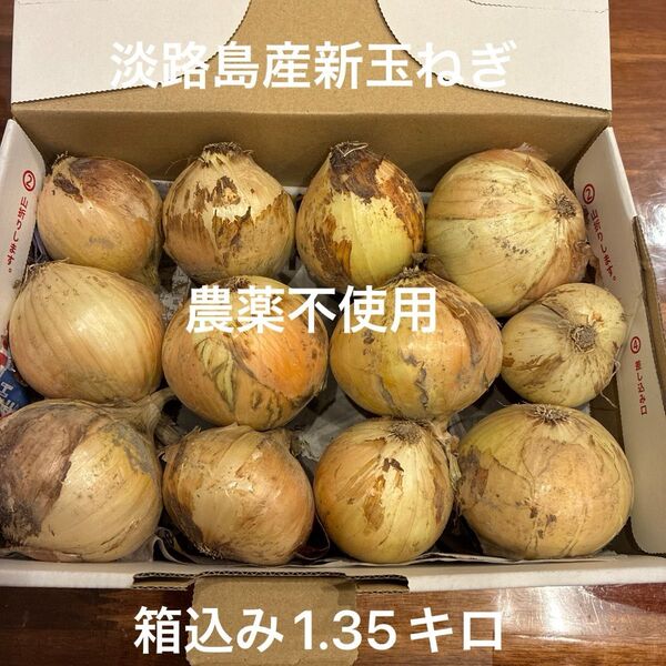 農薬不使用 淡路島産新玉ねぎ 早生 貴錦 箱込み1.35キロ 小さな食べきりサイズ あま〜い