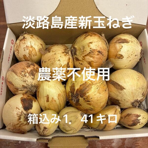農薬不使用 淡路島産新玉ねぎ 早生 貴錦 箱込み1.41キロ 小さな食べきりサイズ あま〜い 24時間カウントダウン再出品可^_^