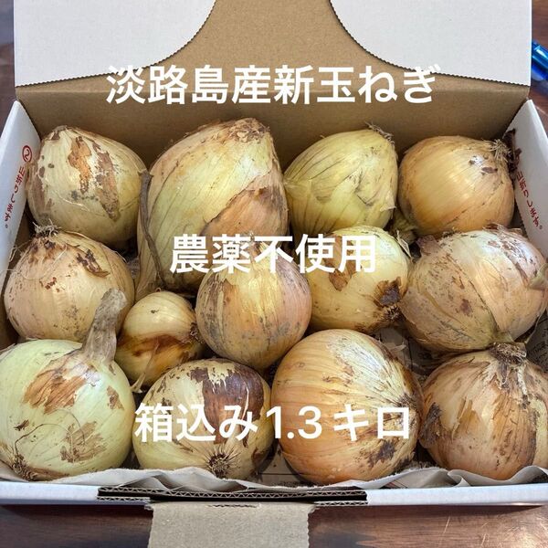 農薬不使用 淡路島産新玉ねぎ 早生 貴錦 箱込み1.3キロ 小さな食べきりサイズ あま〜い 24時間カウントダウン再出品可能^_^