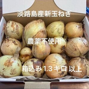 農薬不使用 淡路島産新玉ねぎ 早生 貴錦 1.3キロ 以上 小さな食べきりサイズ あま〜い 24時間カウントダウン再出品可能^_^