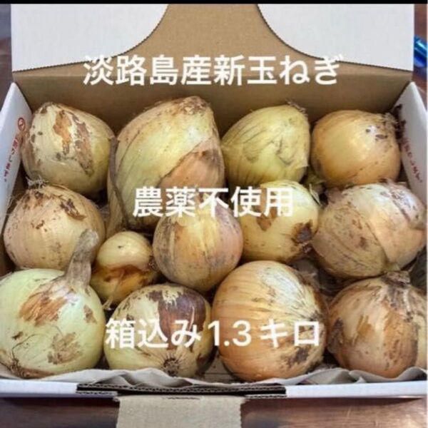 農薬不使用 淡路島産新玉ねぎ 早生 七宝 1.3キロ 以上 小さな食べきりサイズ あま〜い 24時間カウントダウン再出品可能^_^