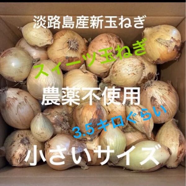 農薬不使用 淡路島産新玉ねぎ 早生 スィーツ玉ねぎ 箱込み3.5キロぐらい 24時間カウントダウン出品し直し可能m(_ _)m