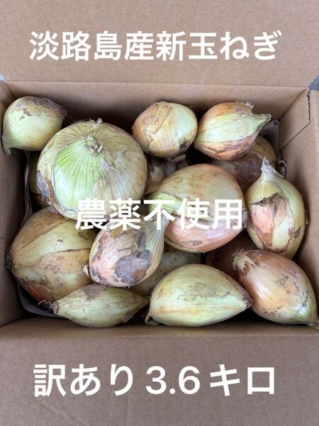 農薬不使用 淡路島産新玉ねぎ 早生 七宝 スィーツ玉ねぎ 箱込み3.6キロ あま〜い 傷あり等の訳あり 早くお料理される方に^_^