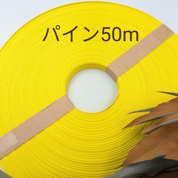 クラフトバンド エコクラフト 紙バンド パイン50m