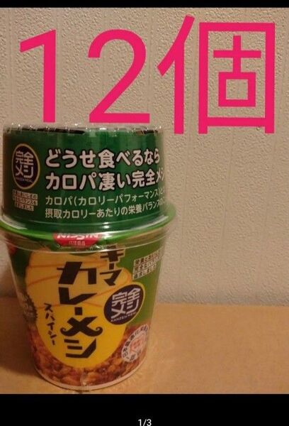 日清 完全メシ キーマカレーメシスパイシー12個セット