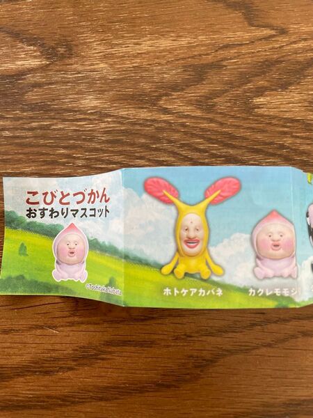 こびとづかん おすわりマスコット ホトケアカバネ ガチャガチャ ガチャ カプセルトイ こびと 新品未使用