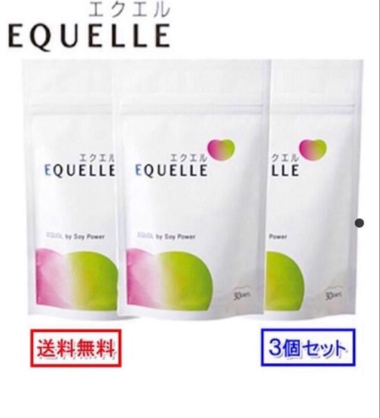 エクエル 3袋セット 大塚製薬 大豆イソフラボン パウチ