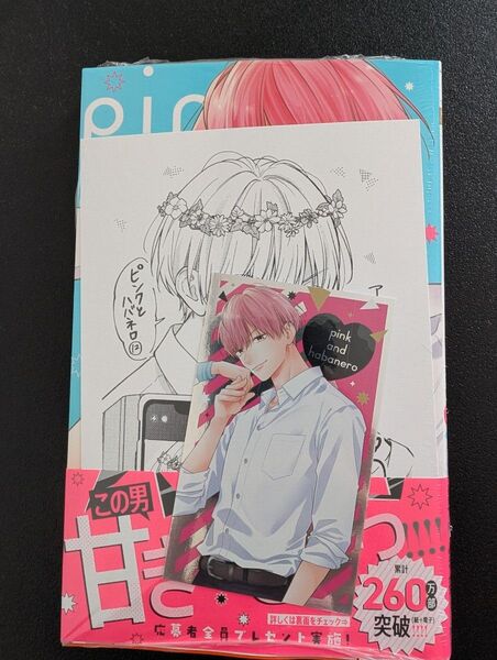 ピンクとハバネロ 12巻 アニメイト 特典 付き。 メタリックカード付き。