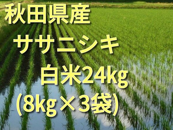 【農家直送】秋田県産ササニシキ白米24㎏【発想直前精米】