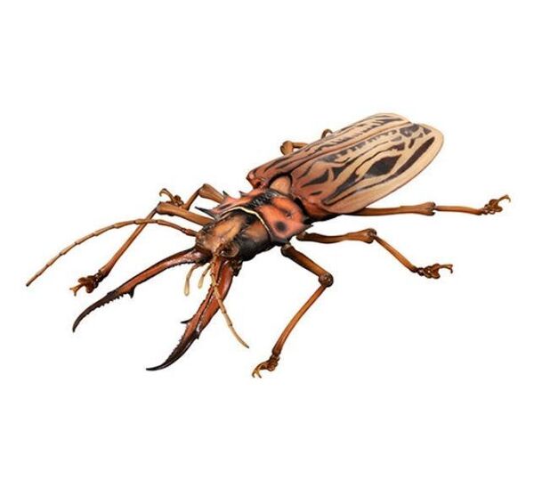 いきもの大図鑑アドバンス オオキバウスバカミキリとハンミョウ オオキバウスバカミキリ(ライト)
